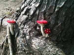 yarn bomb mushrooms crochet