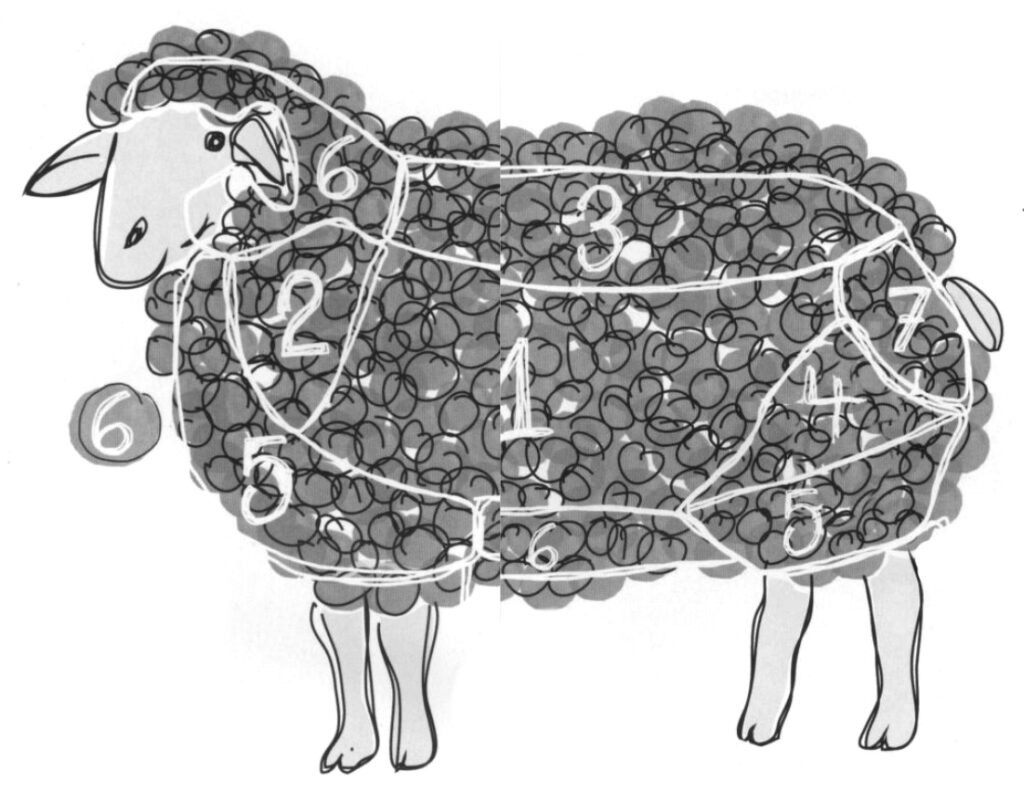 sheep fleece quality